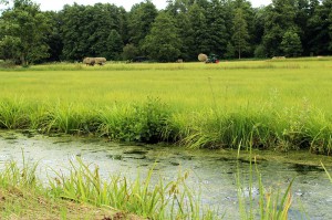 2016-09-22-radtour-spreewald-1820