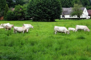 2016-09-22-radtour-spreewald-1832