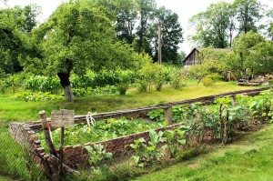 2016-09-22-radtour-spreewald-1849