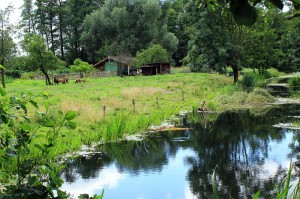 2016-09-22-radtour-spreewald-3508